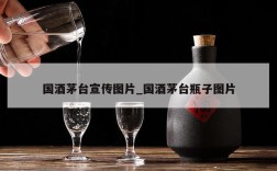 国酒茅台宣传图片_国酒茅台瓶子图片